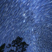 Star Trails by kvphoto