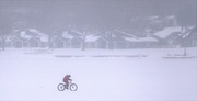 18th Jan 2021 - Biking in a Snowstorm 