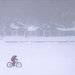 Biking in a Snowstorm  by radiogirl