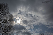 16th Jan 2021 - More Sun and Clouds
