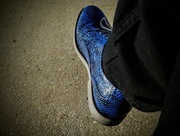 17th Jan 2021 - Blue Shoe 