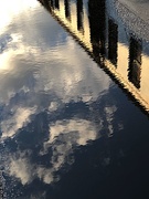 17th Jan 2021 - Reflection in a puddle