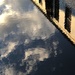 Reflection in a puddle by congaree