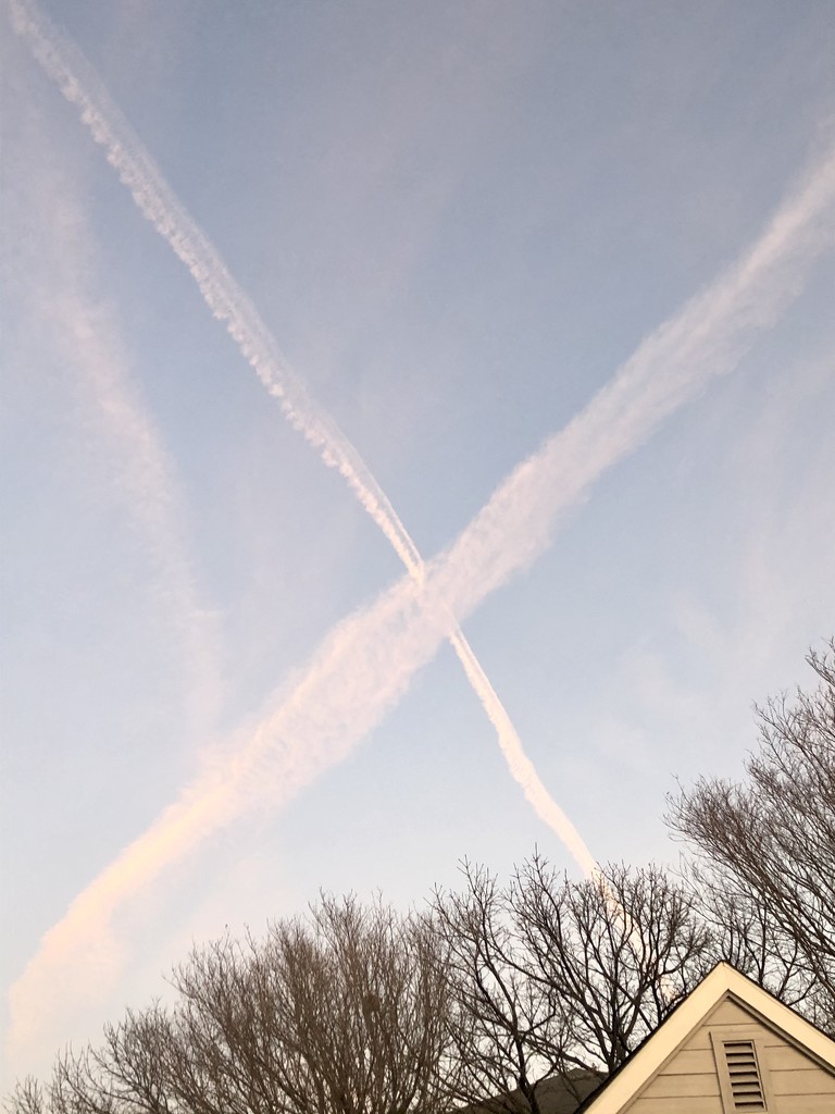 X Marks the Spot  by lisaconrad