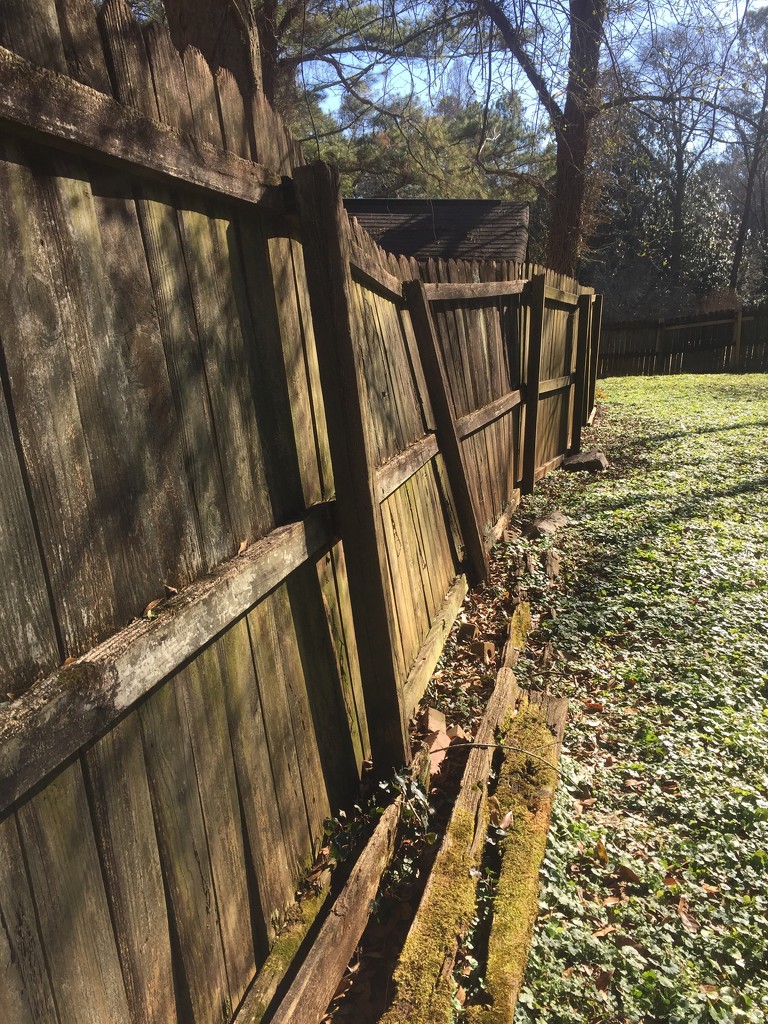 Fence repair needed by margonaut