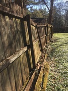 14th Jan 2021 - Fence repair needed