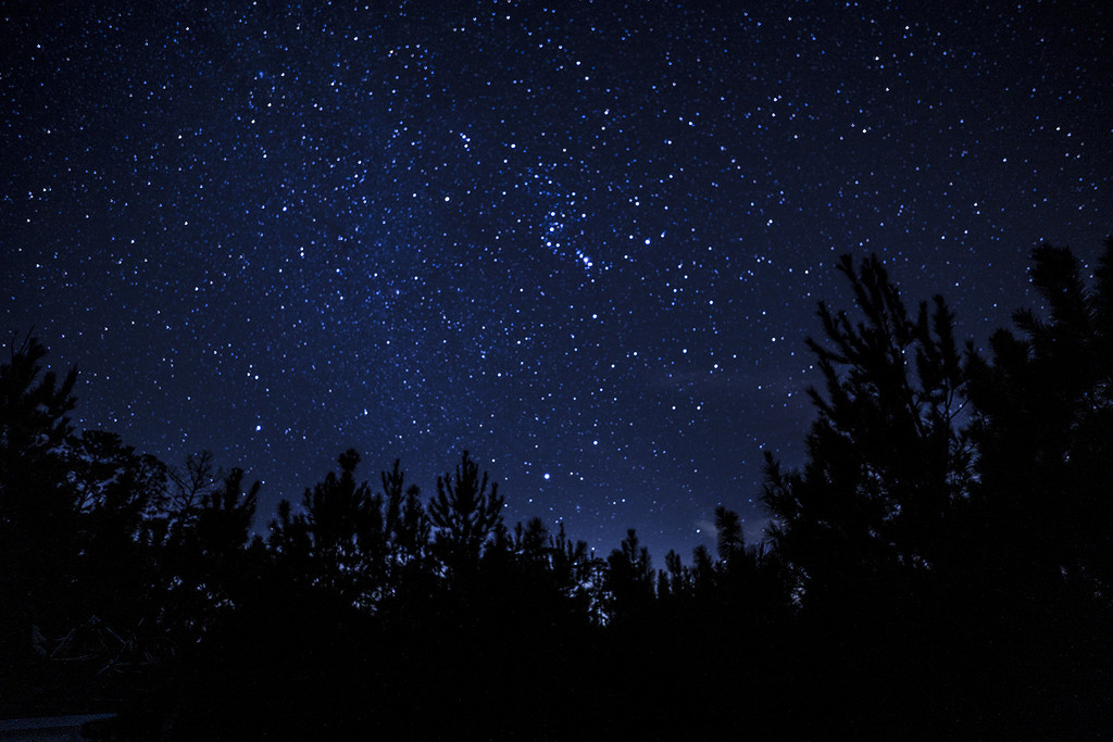 Stars Galore by k9photo