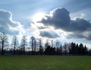 18th Jan 2021 - Blue sky, green grass, partially sunny..