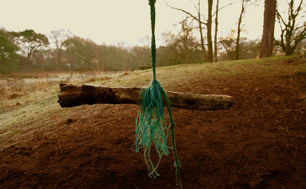 The Bouncy Tree by moonbi