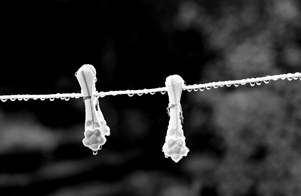 Pegs and Droplets by phil_howcroft