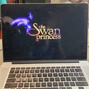 9th Aug 2020 - Swan Princess