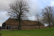 18th Jan 2021 - An old barn and the sugar beets harvest 