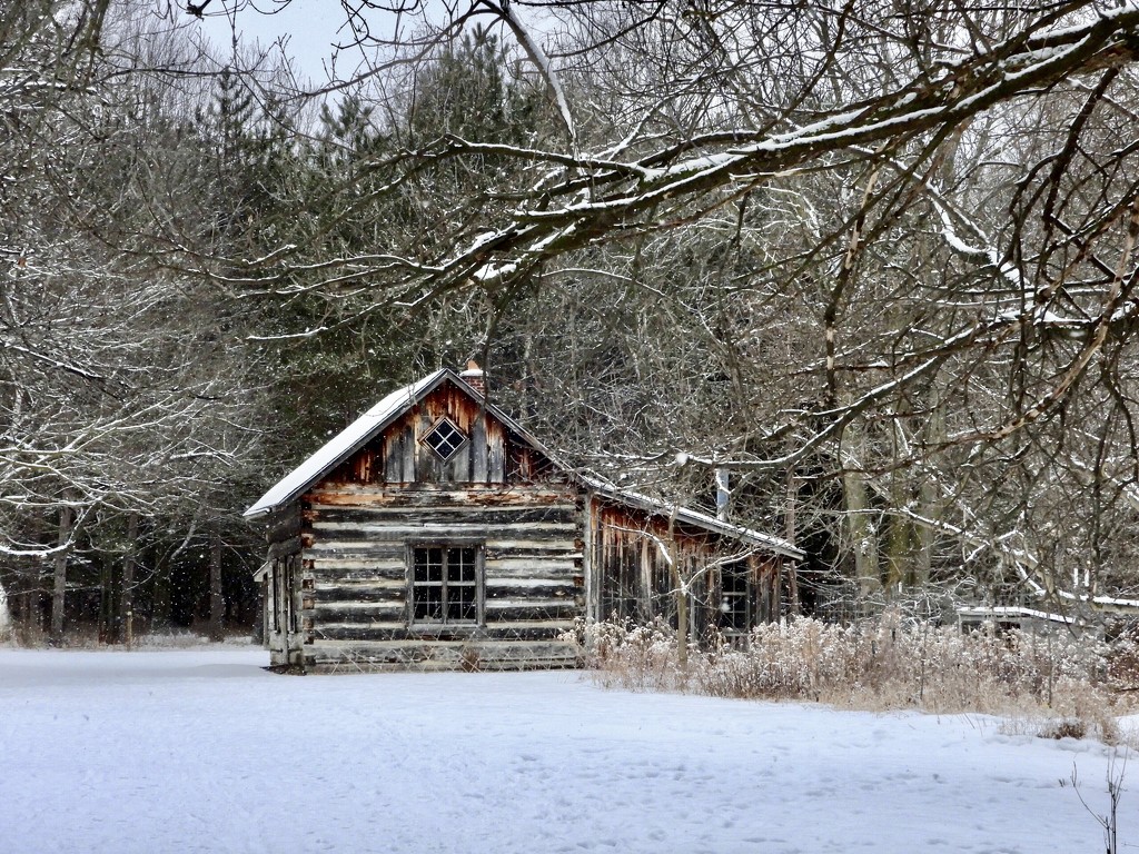 winter at the homestead 1 by amyk