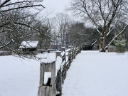 18th Jan 2021 - winter at the homestead 2