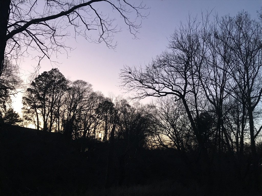 Twilight on the Greenway  by gratitudeyear