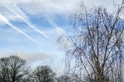 19th Jan 2021 - Cloud formations and vapour trails