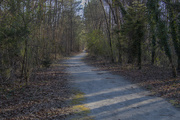 19th Jan 2021 - Chester Linear Park