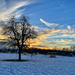 Sunset on the snow.  by cocobella