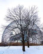 19th Jan 2021 - Montreal Biosphere