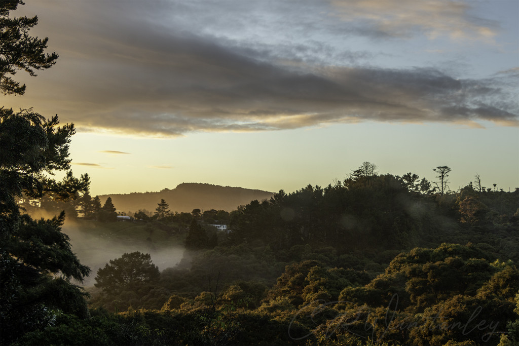 Morning Golden Hour by kipper1951