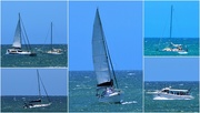 21st Jan 2021 -  Sailing On The Ocean Blue ~      