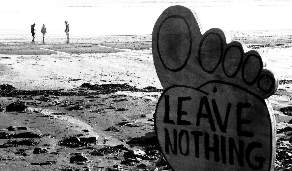 leave nothing  by steveandkerry