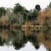 Green Lake's Winter Look by seattlite