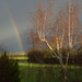 Rainbow at 08:50 by jon_lip