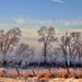 Winter Weather by lynnz