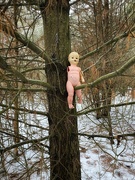 18th Jan 2021 - A Walk in the Woods turned Creepy!
