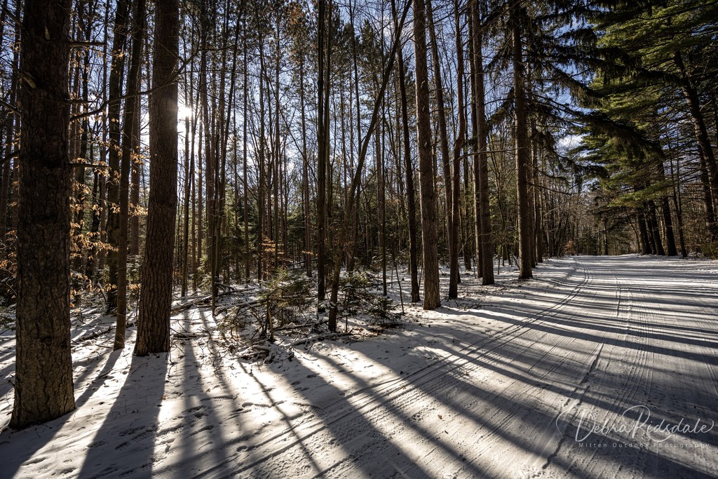 Snow shadows by dridsdale