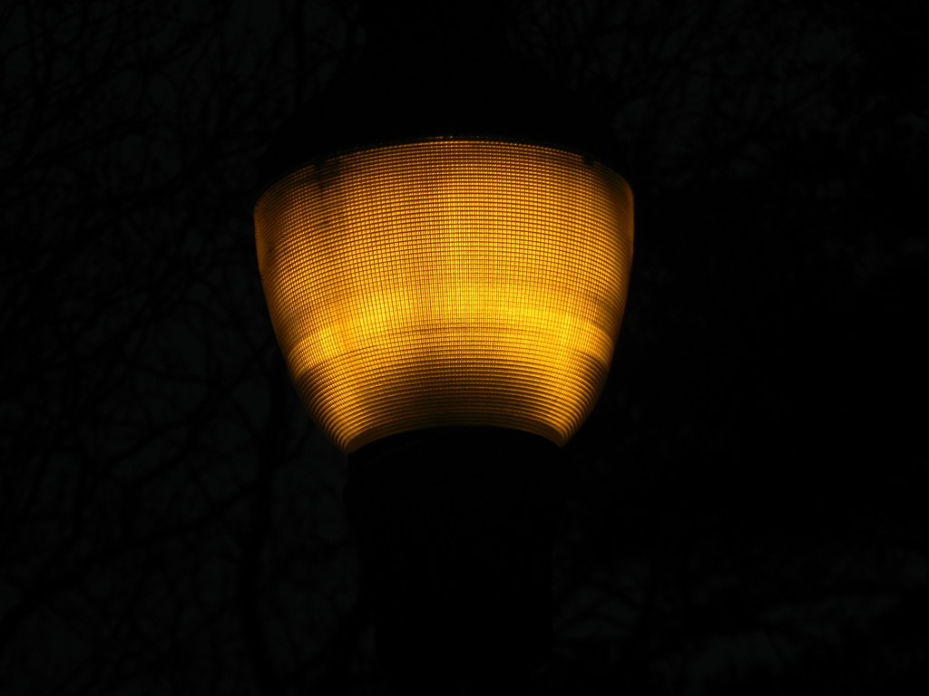 Streetlight by sfeldphotos