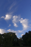 17th Aug 2020 - Whispy Clouds 8-17-20