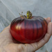 Black Tomato 8-30-20 by houser934