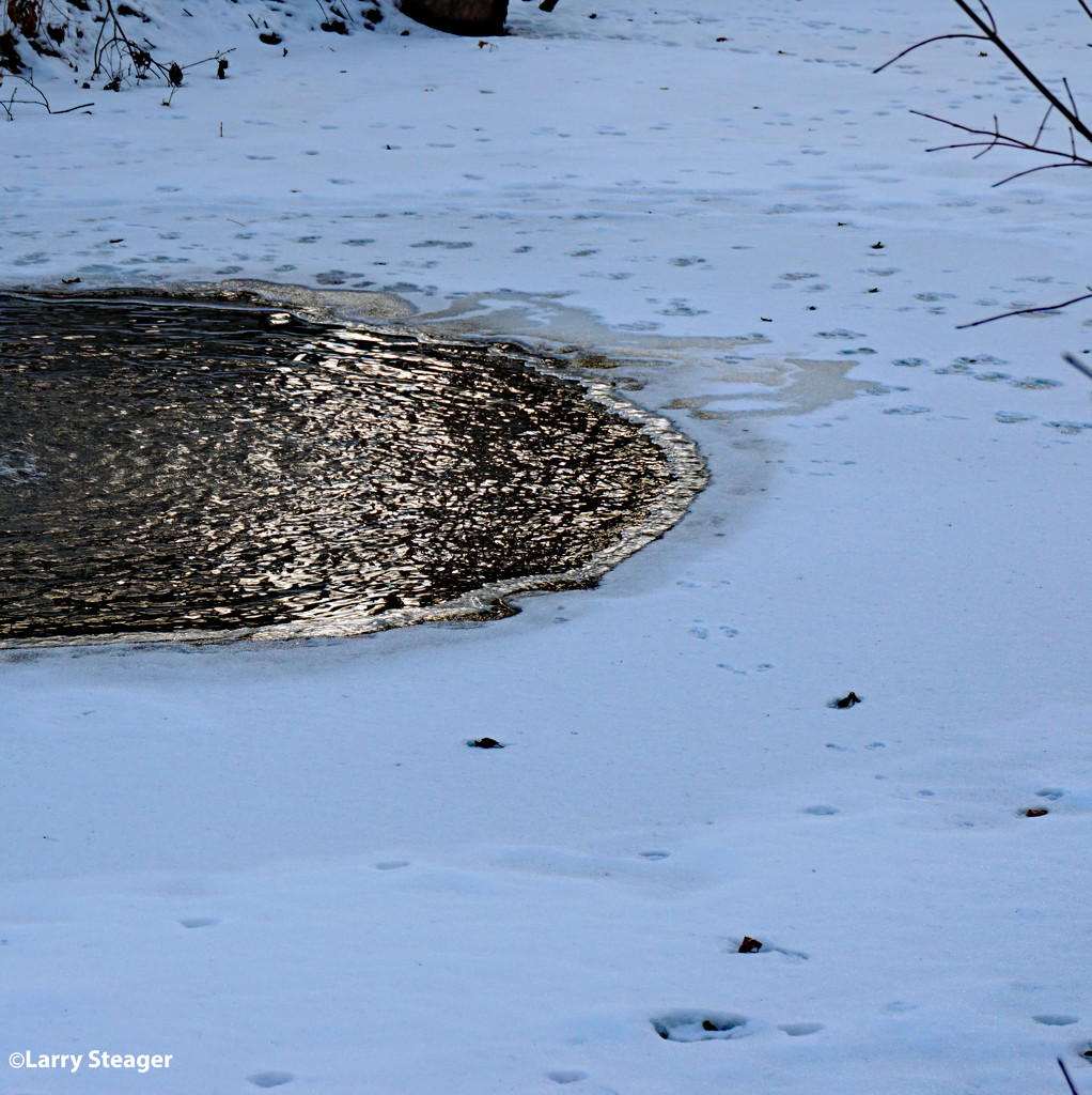 Sun on a frozen pond by larrysphotos