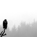 misty buzzard by steveandkerry