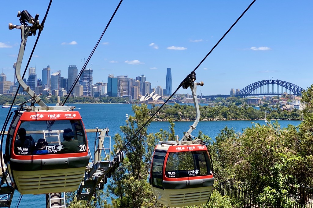 Sky Safari gondolas, Taronga Zoo Sydney by johnfalconer
