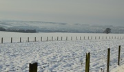 15th Jan 2021 - Mist and Snow