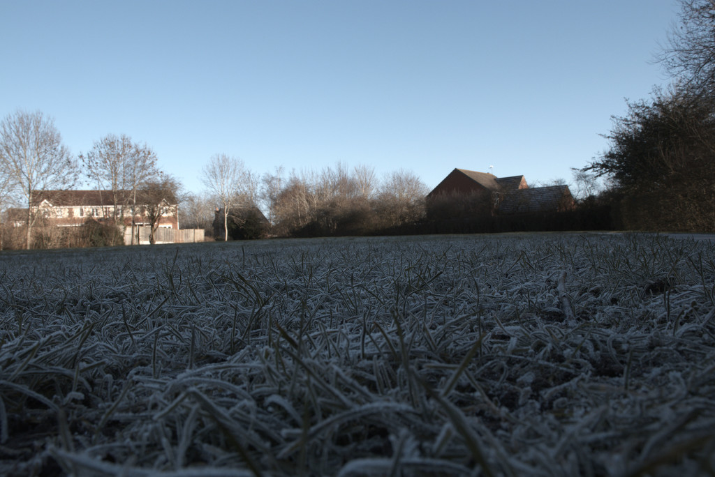 A Frosty Start by 365projectorglisa