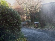 22nd Jan 2021 - A cold and frosty morning