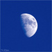 Daylight Moon by pcoulson