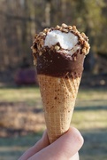 22nd Jan 2021 - Sunshine on an ice cream cone