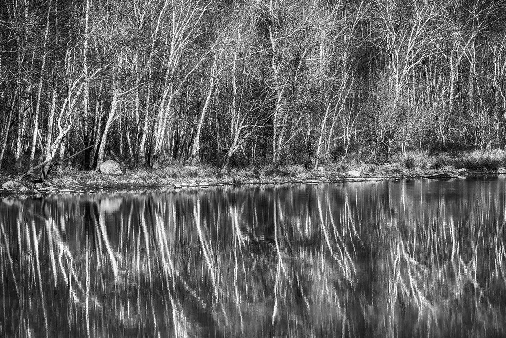River Reflections by kvphoto