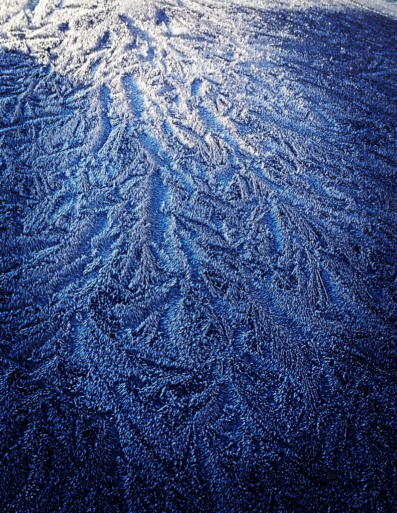 Frost by flowerfairyann