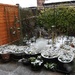 Snow in My Garden by oldjosh