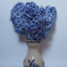 hyacinths by josiegilbert