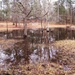 My neighbor's seasonal pond 2... by marlboromaam