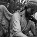 Weeping Angel by 0x53