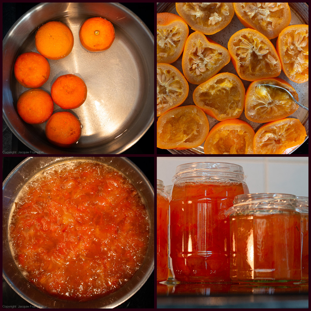Seville Orange Marmalade Season by jqf