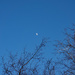 Winter afternoon moon by larrysphotos